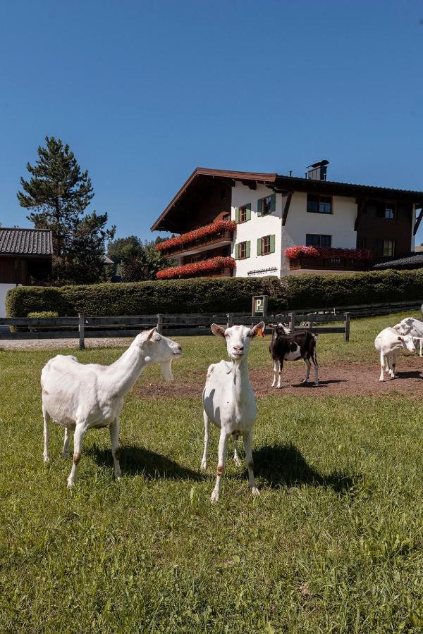 Gaestehaus Bramboeck Bad Haering Exterior photo